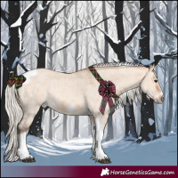 Horse Color:Silver Bay Dun Sabino Tobiano Frame Rabicano 