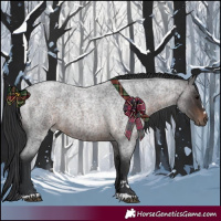 Horse Color:Brown Roan 