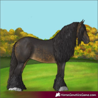 Horse Color:Buckskin 