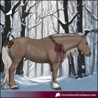 Horse Color:Silver Black Tobiano 