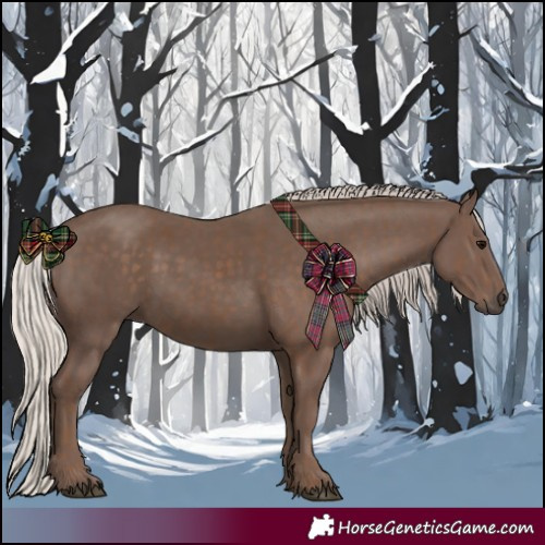 Horse Color:Silver Black and Silver Black