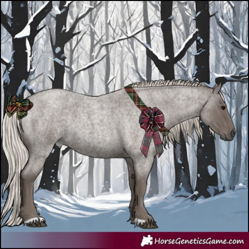 Horse Color:Silver Blue Roan 