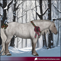 Horse Color:Silver Blue Roan 