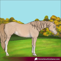 Horse Color:Perlino 