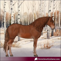 Horse Color:Chestnut 