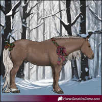 Horse Color:Silver Black and Silver Black