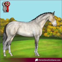 Horse Color:Buckskin Roan Dun Mushroom Sabino 