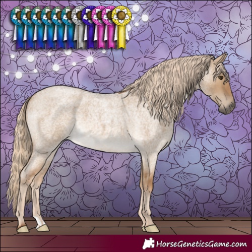 Horse Color:Chocolate Palomino Roan Dun 