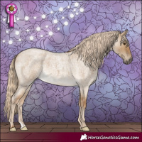 Horse Color:Chocolate Palomino Roan Dun