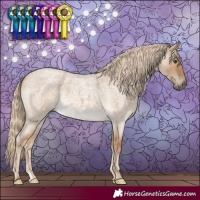 Horse Color:Chocolate Palomino Roan Dun