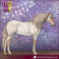 Horse Color:Chocolate Palomino Roan Dun 