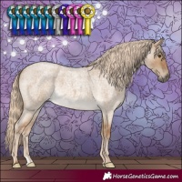 Horse Color:Chocolate Palomino Roan Dun