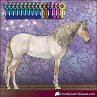 Horse Color:Chocolate Palomino Roan Dun
