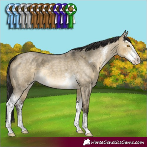 Horse Color:Buckskin Roan Dun Mushroom Sabino 