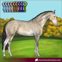 Horse Color:Buckskin Roan Dun Mushroom Sabino