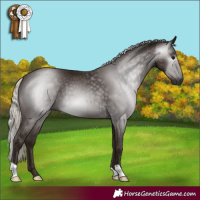 Horse Color:Gray Silver Black 