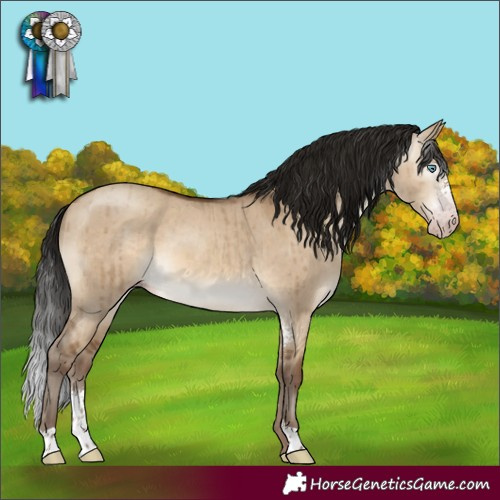 Horse Color:Gray Sable Champagne Dun Sabino Brindle 