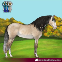 Horse Color:Gray Sable Champagne Dun Sabino Brindle 