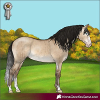 Horse Color:Gray Sable Champagne Dun Sabino Brindle