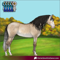 Horse Color:Gray Sable Champagne Dun Sabino Brindle 