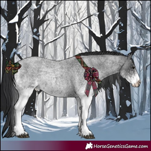Horse Color:White Spotted Blue Roan 