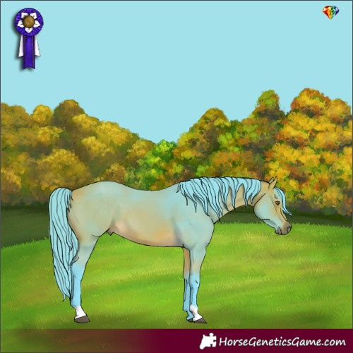 Horse Color:Watercolor Buckskin 