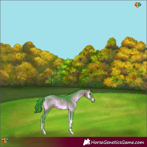 Horse Color:Watercolor Brown Onyx 