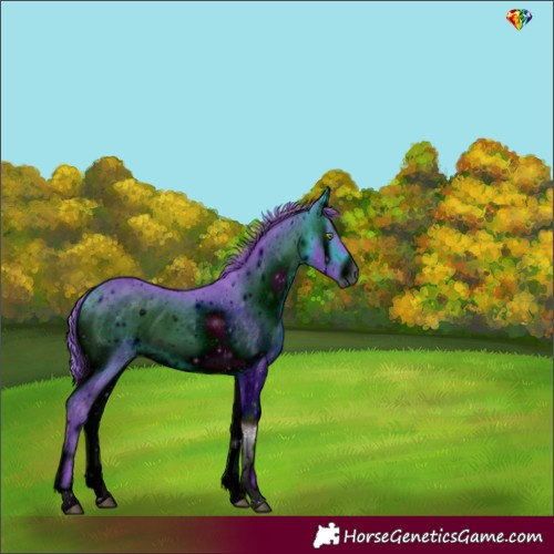 Horse Color:ERROR: UNKNOWN ANOMALY