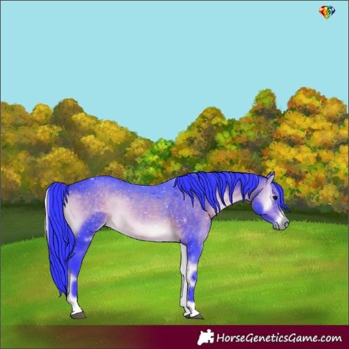 Horse Color:Watercolor Brown Onyx 