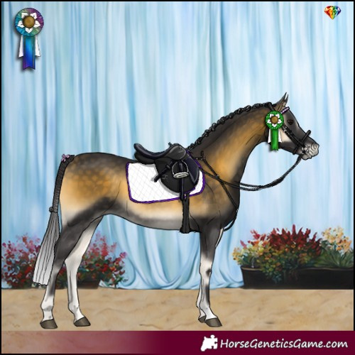 Horse Color:Buckskin Onyx 