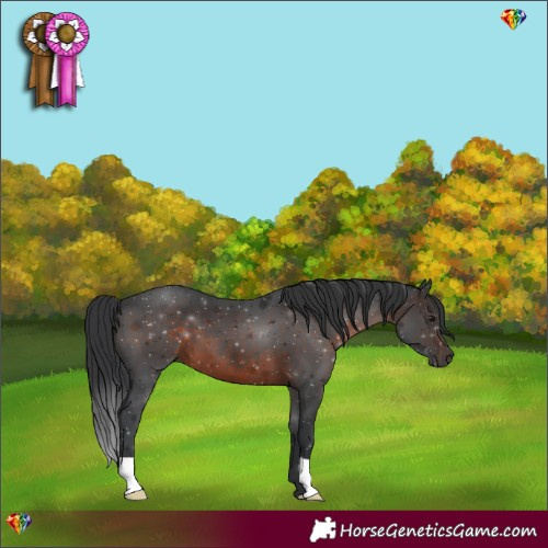 Horse Color:Brown 