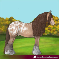 Horse Color:Amber Champagne Sabino Tobiano Appaloosa  and Amber Champagne Sabino Tobiano Appaloosa 