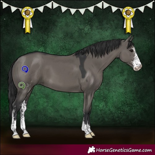 Horse Color:Grullo Sabino