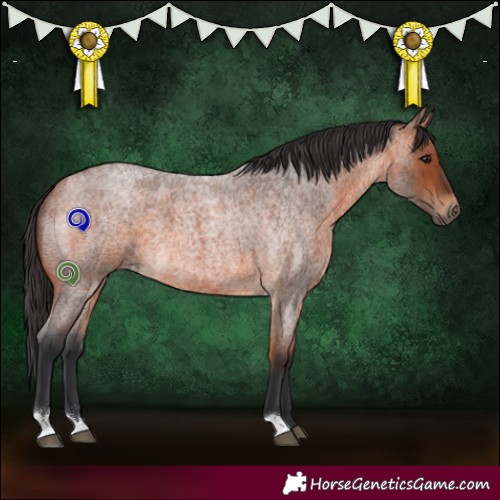 Horse Color:Bay Roan 