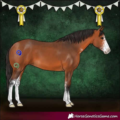 Horse Color:Bay Sabino