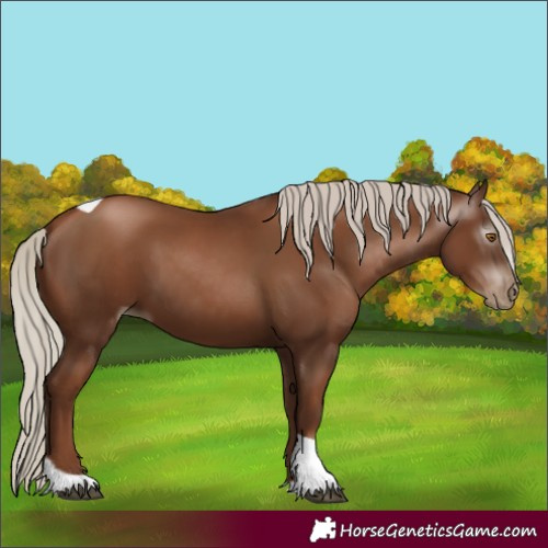 Horse Color:Gray Silver Black Pearl Tobiano