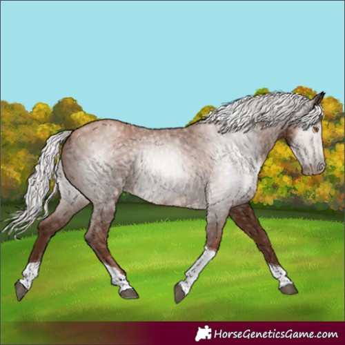 Horse Color:Gray Silver Black Pearl Tobiano