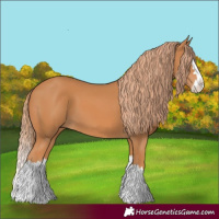 Horse Color:Chestnut Splash 