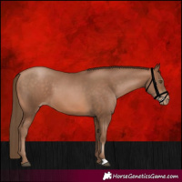 Horse Color:Brown Pearl 
