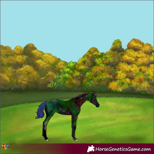 Horse Color:ERROR: UNKNOWN ANOMALY