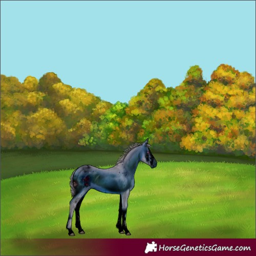 Horse Color:ERROR: UNKNOWN ANOMALY