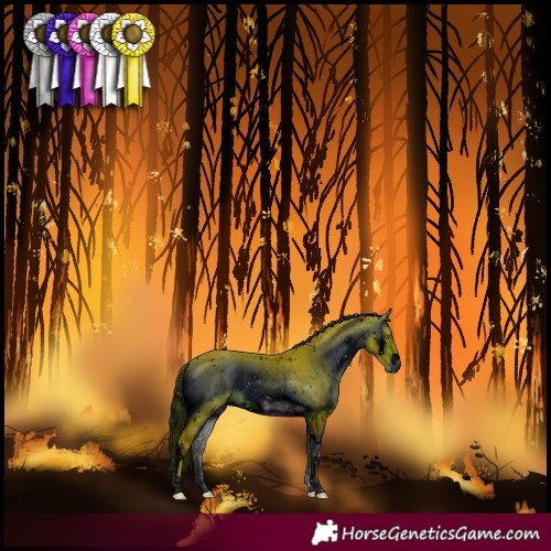 Horse Color:ERROR: UNKNOWN ANOMALY
