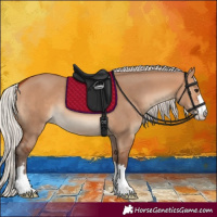 Horse Color:Silver Bay Dun