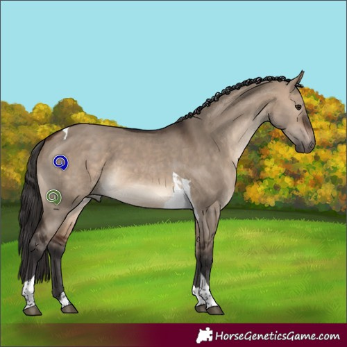Horse Color:Brown Dun Tobiano