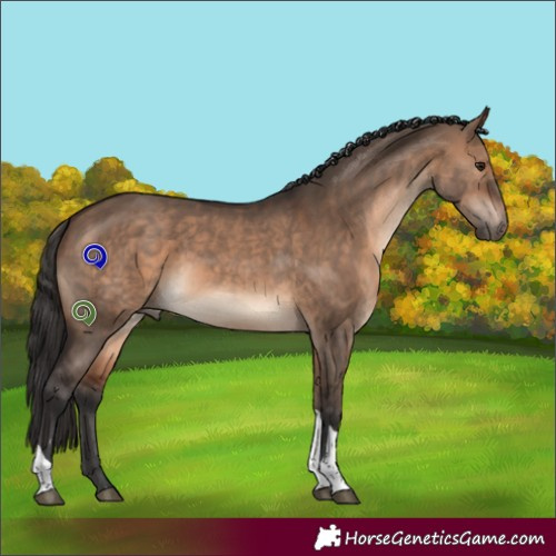 Horse Color:Brown Dun Tobiano 