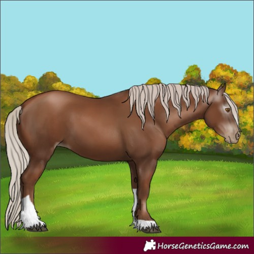 Horse Color:Gray Silver Black Pearl Tobiano 