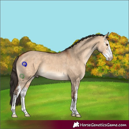 Horse Color:Bay Dun Sabino 