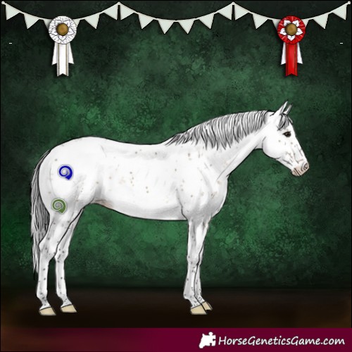 Horse Color:Brown Dun Sabino 