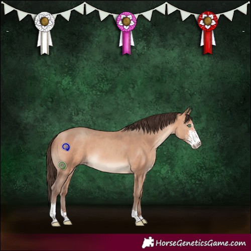 Horse Color:Amber Champagne Sabino