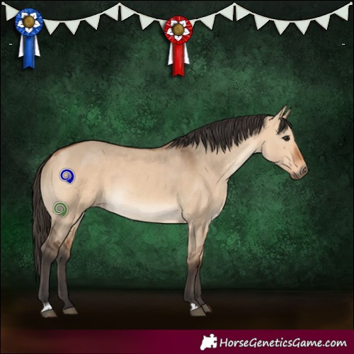 Horse Color:Bay Dun